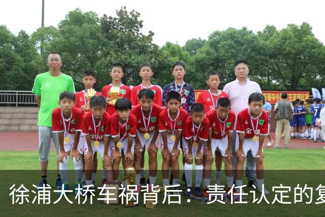 徐浦大桥车祸背后：责任认定的复杂性与公众的疑虑